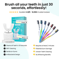 BRUSH BRUSH